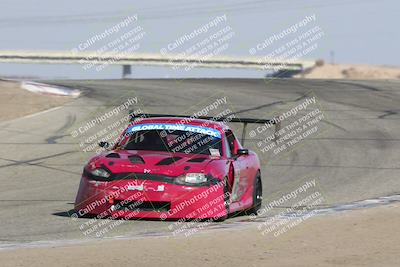 media/Nov-10-2024-GTA Finals Buttonwillow (Sun) [[9486b6e4c5]]/Group 4/Session 2 (Grapevine Exit)/